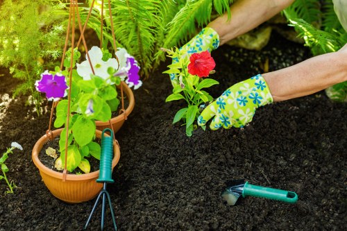 Professional garden clearance service in Waterloo