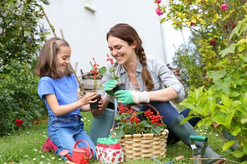 Eco-friendly garden clearance practices in Waterloo