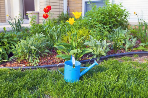 Expert gardeners providing hedge trimming services in Waterloo