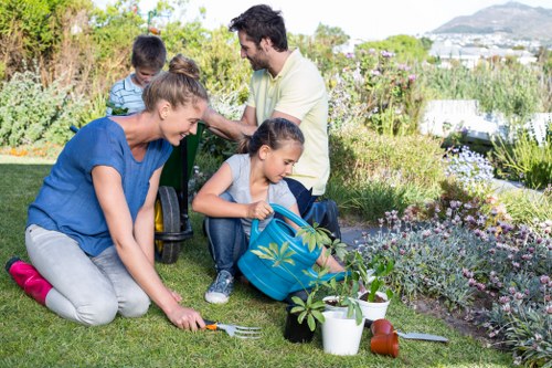 Weed control and plant maintenance in Waterloo gardens