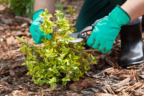 Garden waste sorting at a designated rubbish gardening area