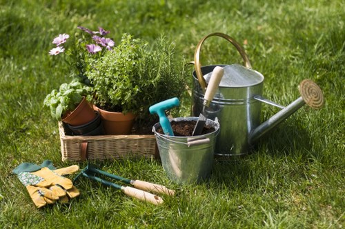 Local Waterloo garden clearance experts at work