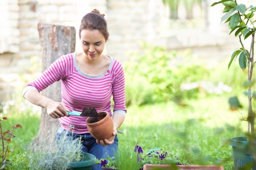A woman in a pink and grey striped long-sleeve shirt is gardening outdoors in a backyard, holding a terracotta plant pot with dark soil inside and using a small gardening trowel. She is standing on a grassy area with a neatly maintained lawn and surrounding garden beds filled with various plants and purple flowers. Behind her, there is a wooden fence, a tree stump, and a lush green hedge, with natural daylight illuminating the scene, indicating a mild weather day. The garden layout includes a paved pathway, and the scene reflects a well-kept outdoor space suitable for lawn care and plant maintenance, consistent with services offered by Lawn Mowing Waterloo in the Waterloo area and postal code included in the local context.