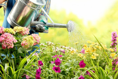Sustainable landscaping elements with native plants and eco-friendly features in Waterloo