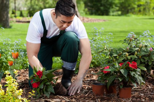 Gardener planning seasonal maintenance activities