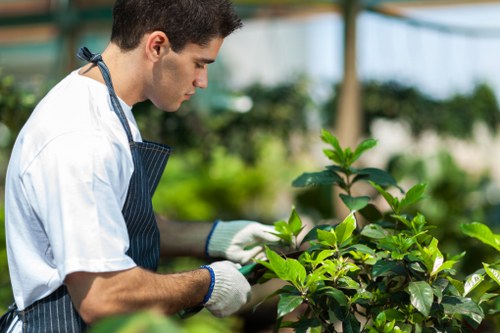 A young male gardener wearing a white shirt, striped apron, and white gloves tending to a green-leaved shrub in a well-maintained garden during daytime. The outdoor space features a neatly trimmed, lush lawn with dense, dark green foliage, and a variety of plants and shrubs in the background, including a hedge and flowering beds. The garden surface includes soil beds and paved pathways, with natural sunlight illuminating the scene, highlighting the vibrant green tones of the plants. The gardener's focused attention emphasizes professional gardening care, aligning with services offered by Lawn Mowing Waterloo in the Waterloo area, and reflecting typical landscaping maintenance in local gardens across the town.
