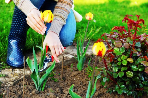 Healthy green lawn with professional maintenance