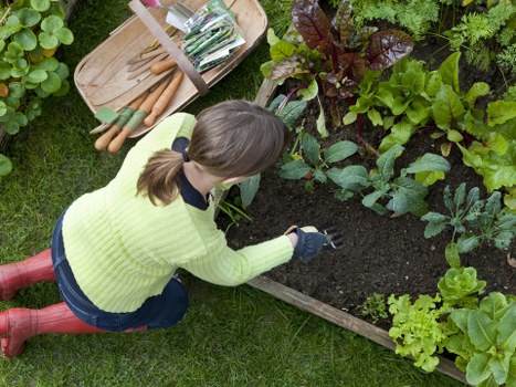 Seasonal lawn maintenance in Waterloo