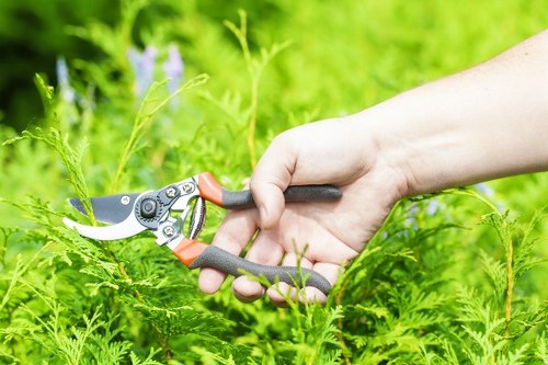 Eco-friendly lawn mowing practices