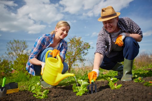 Essential gardening tools laid out for maintenance