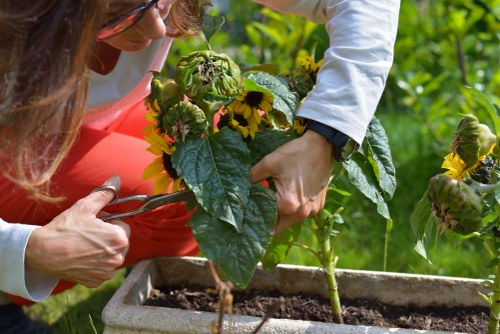 Close-up of a customer taking a photo of a lawn issue